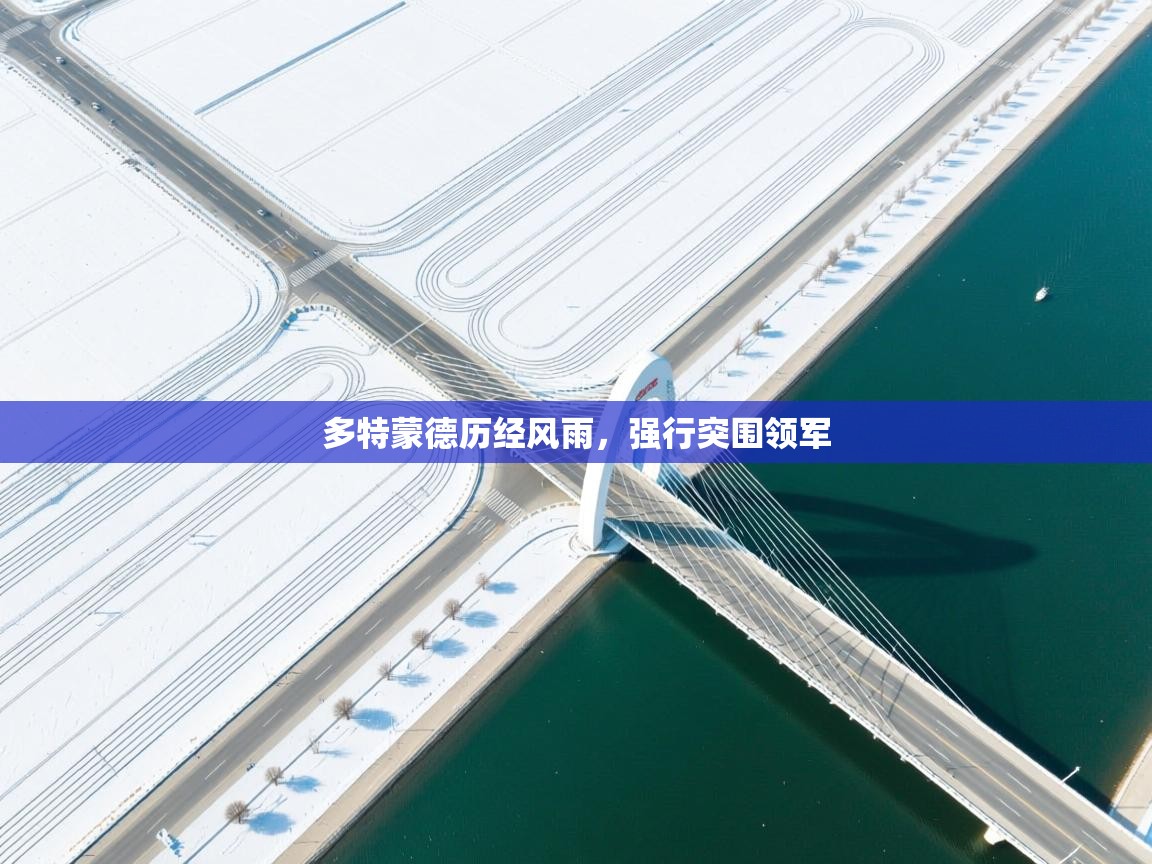 多特蒙德历经风雨，强行突围领军  第1张