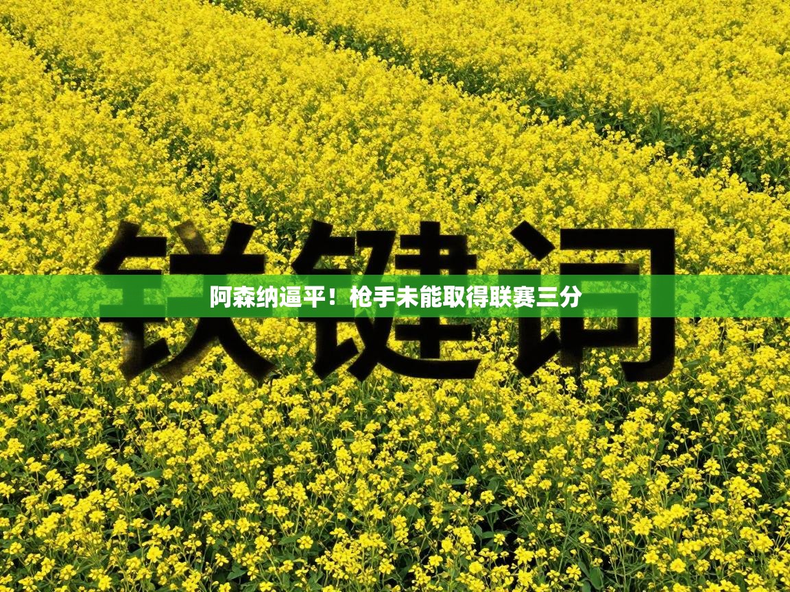 阿森纳逼平！枪手未能取得联赛三分  第1张